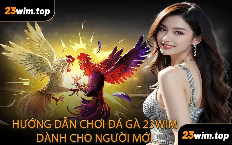 Hướng dẫn chơi đá gà 23WIM dành cho người mới