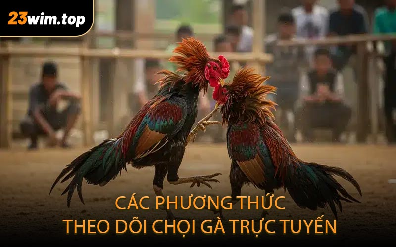 Các phương thức theo dõi chọi gà trực tuyến