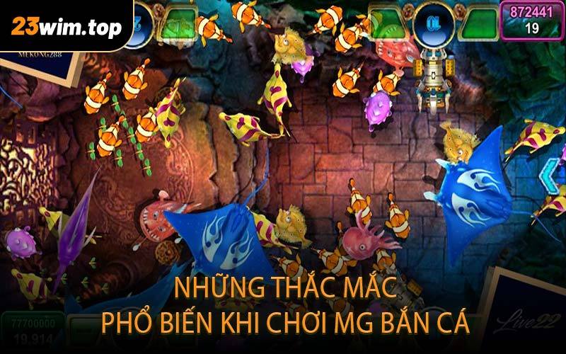 Những thắc mắc phổ biến khi chơi MG bắn cá